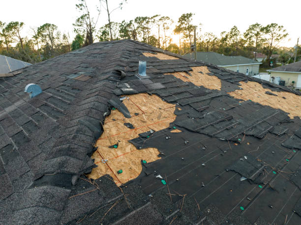 Best Gutter Installation and Repair  in West Bishop, CA